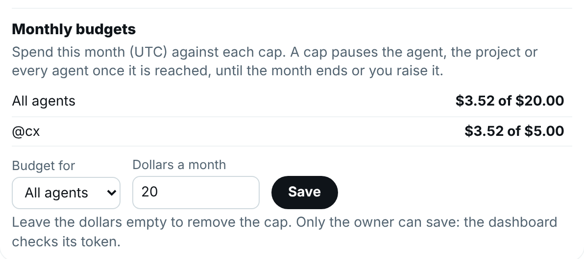 Monthly budgets on the Cost page: all agents and one agent against their caps, and the form to set a budget
