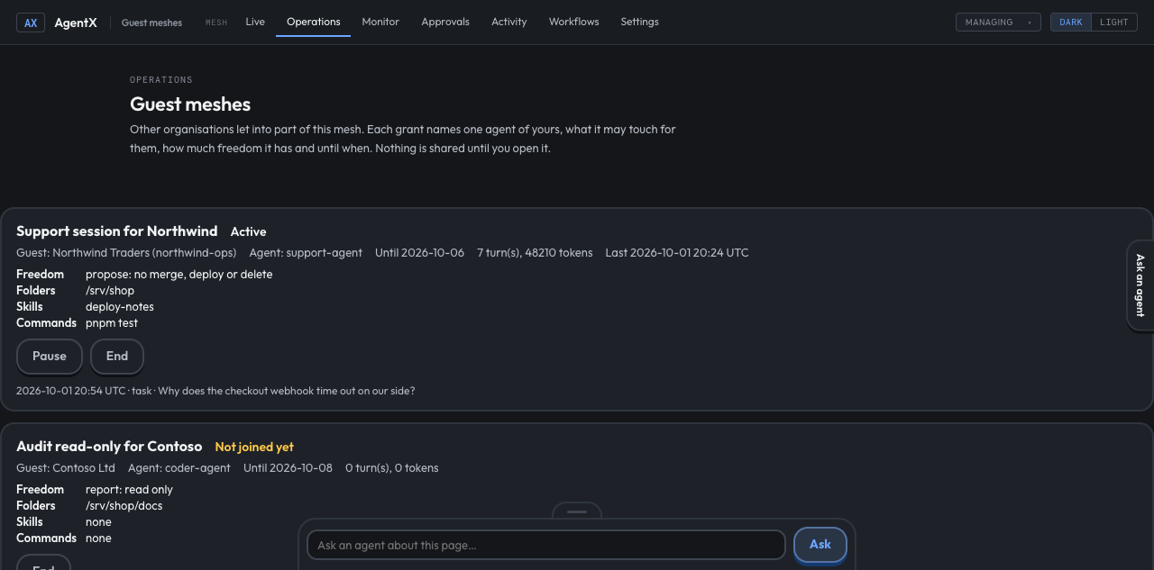 The Guest meshes page with one active grant, its scope and the Pause and End buttons